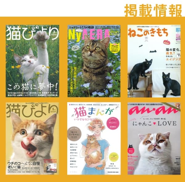 雑誌画像