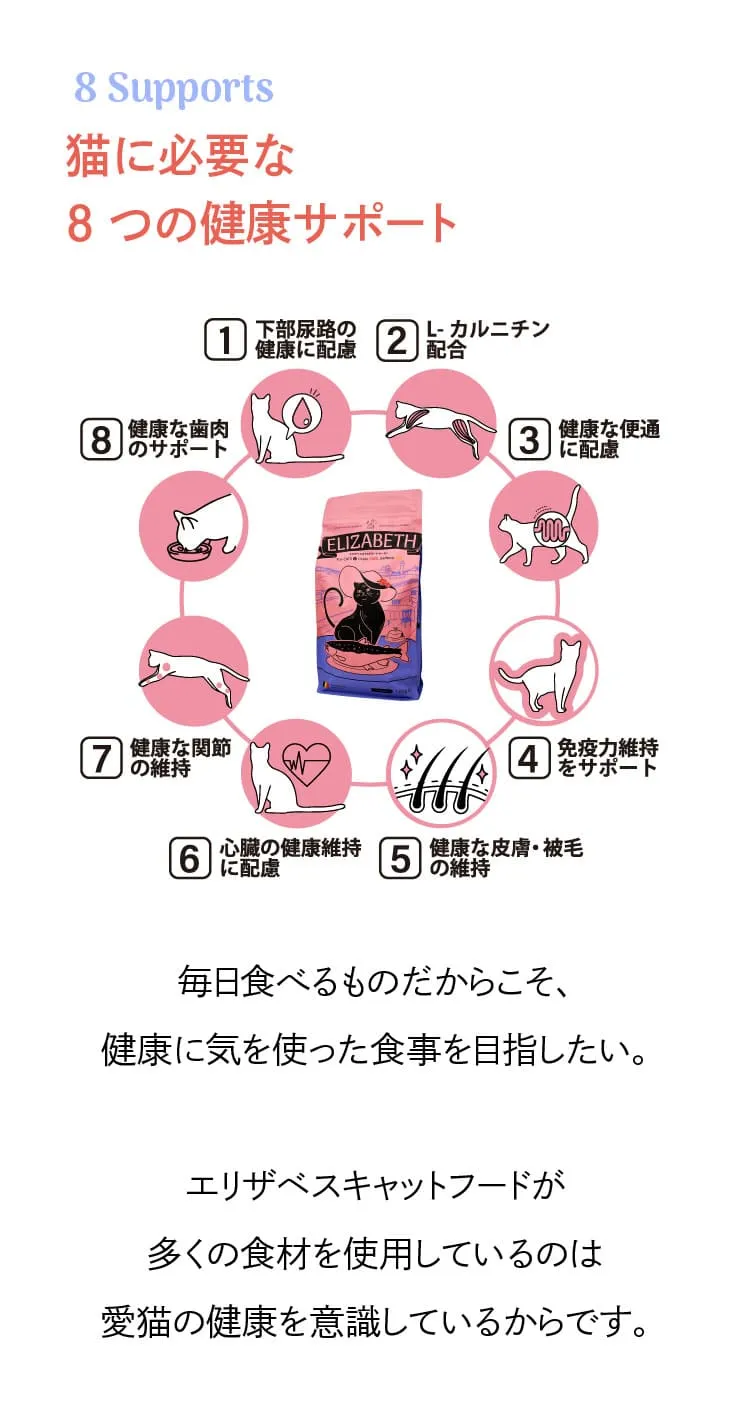 エリザベスキャットフード サーモン 1.8kg（定期コース）-[マッサン