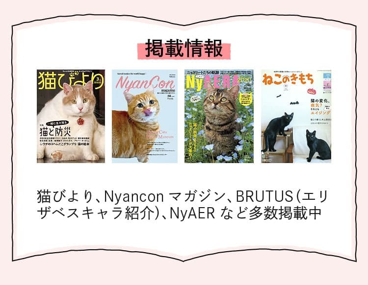 エリザベスキャットフード サーモン 200g-[マッサンペットフーズ]