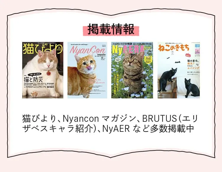 エリザベスキャットフード サーモン 1.8kg（定期コース）-[マッサン