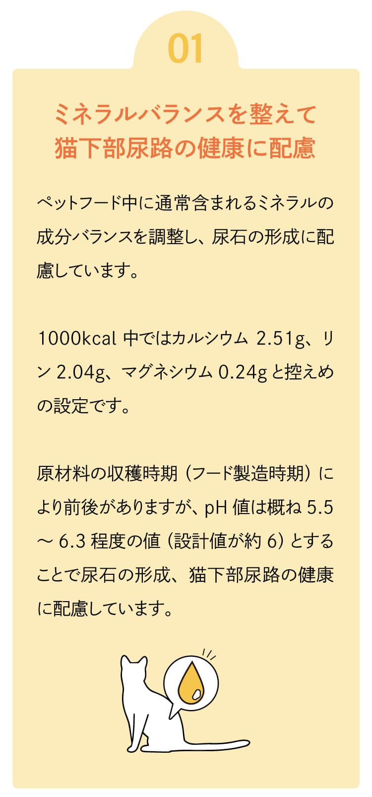 マッサンペットフーズ - ロニーキャットフード チキン 200g