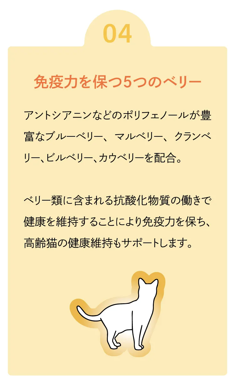 ロニーキャットフード チキン 1.8kg（定期コース）-[マッサンペットフーズ]