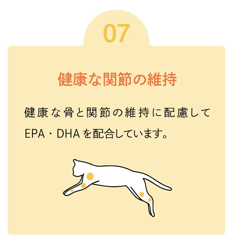 ロニーキャットフード チキン 1.8kg（定期コース）-[マッサンペットフーズ]