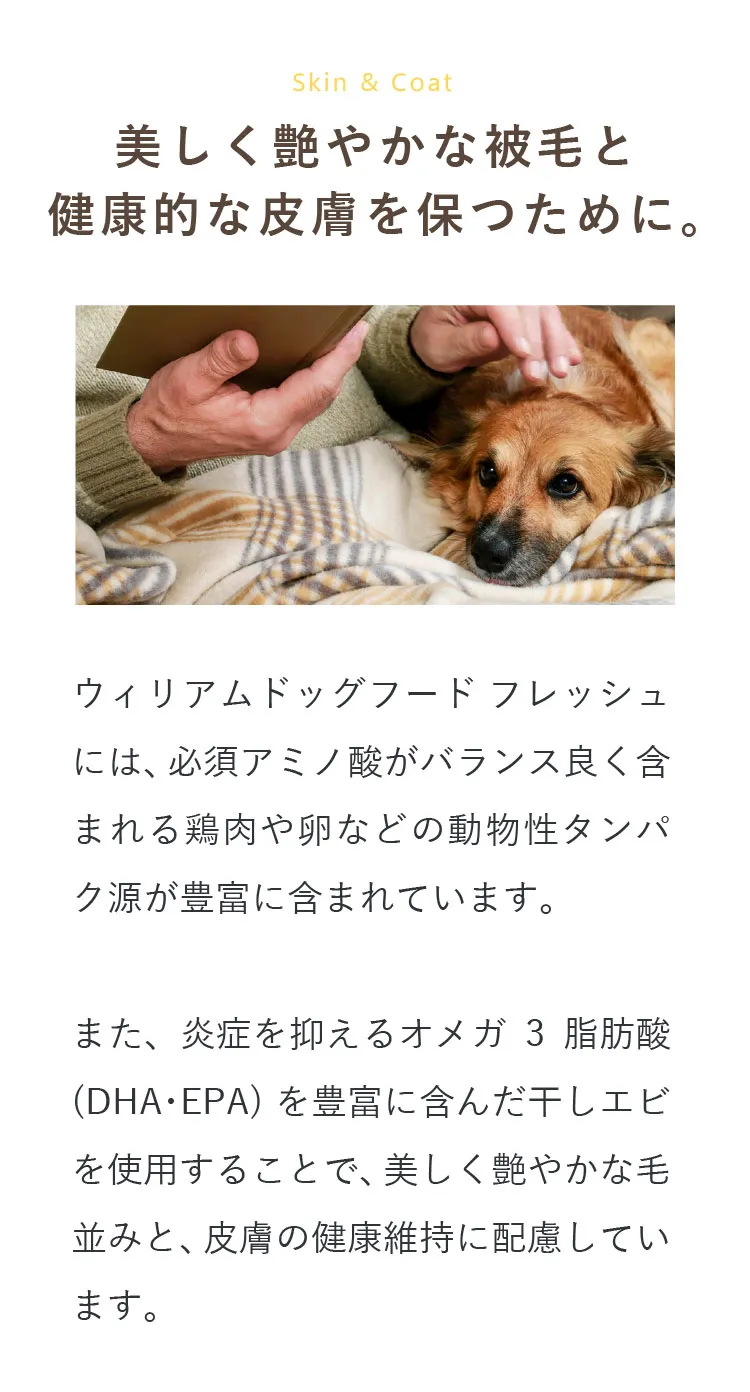 総合栄養食＞ウィリアムドッグフードフレッシュ 12袋（冷凍