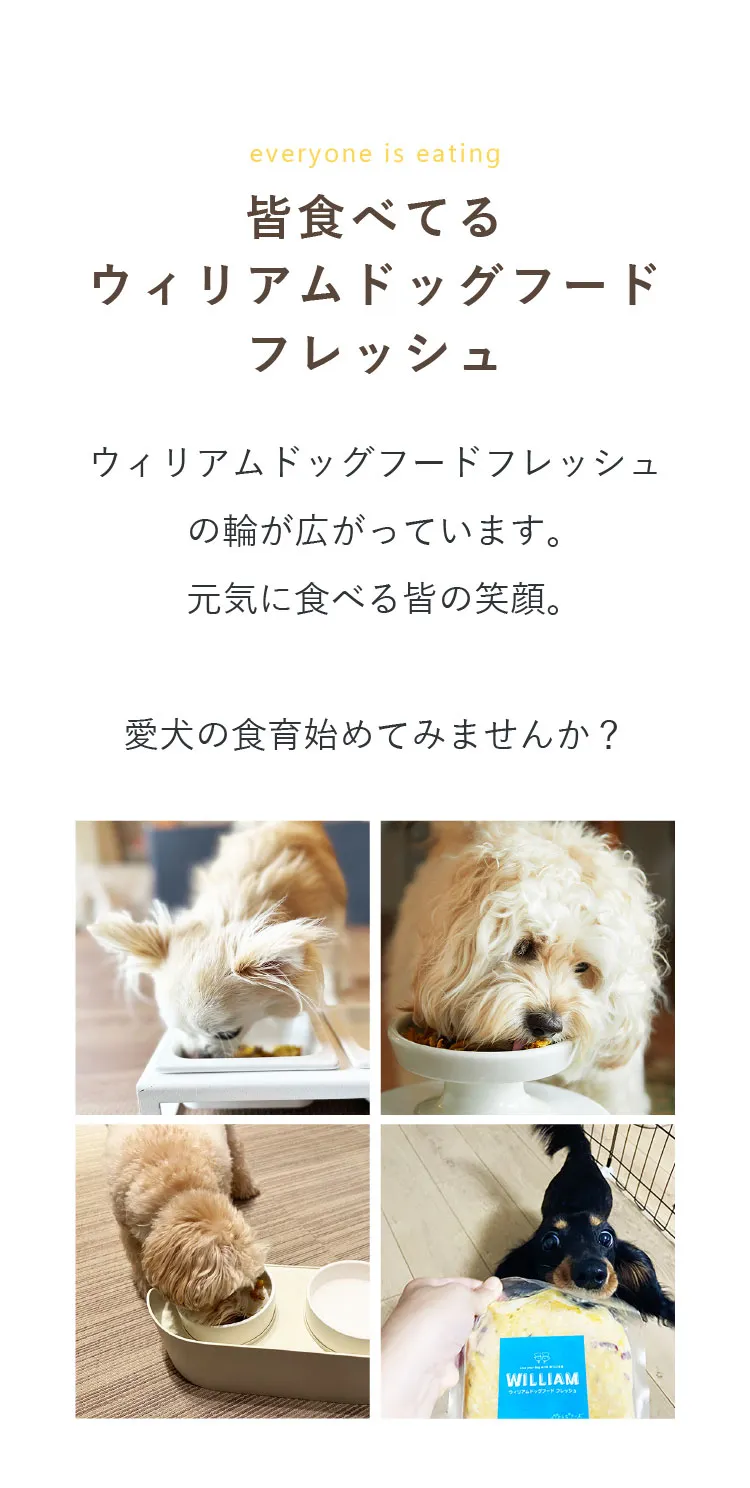 3袋　WILLIAM ウィリアムドッグフード ウィリアムドッグフード チキン公式通販サイト-[マッサンペット