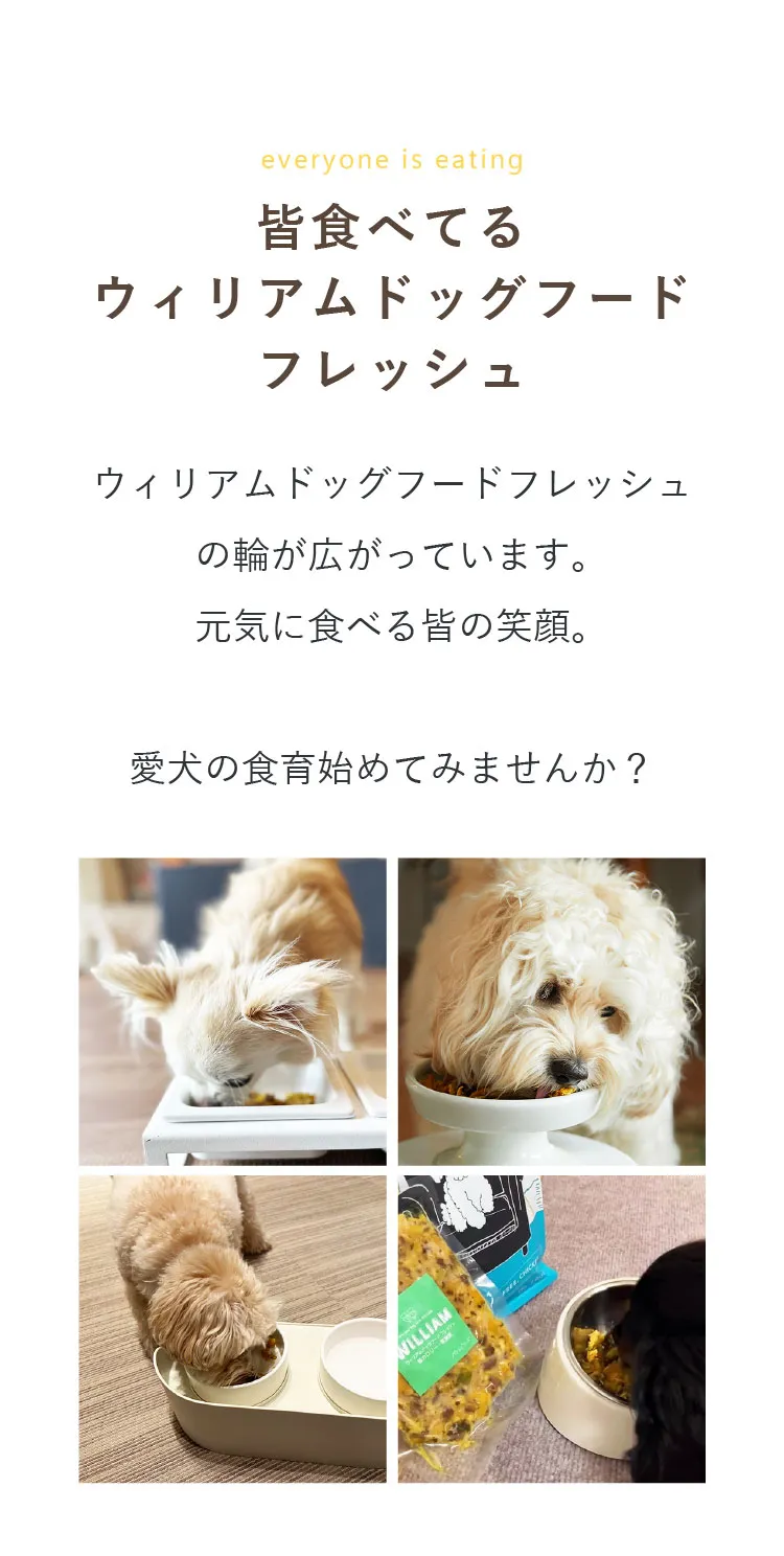低カロリー＞ウィリアムドッグフードフレッシュ 12袋（冷凍