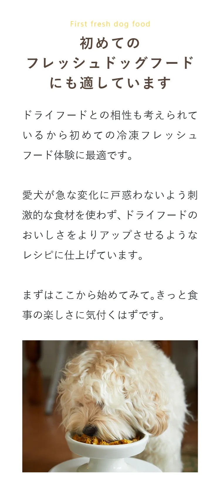 ウィリアムドッグフードを愛犬に試しました！口コミ評判や安全性