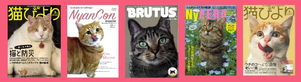 掲載されている雑誌