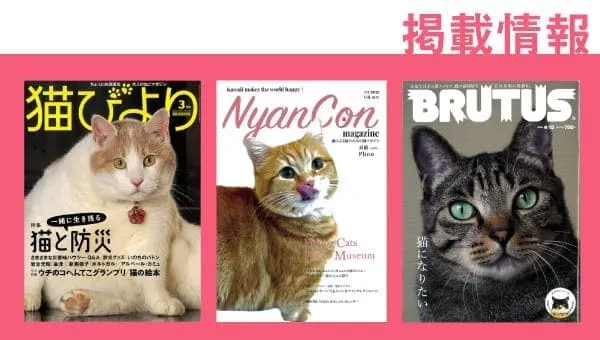 掲載されている雑誌