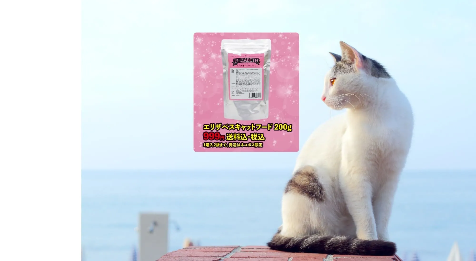 エリザベス猫