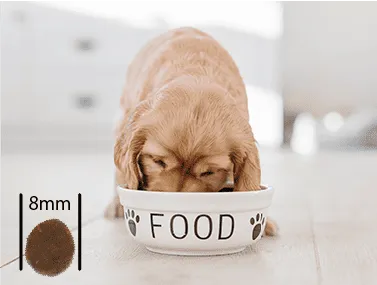 噛んで食べる犬