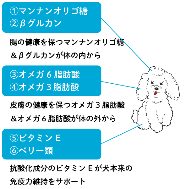 免疫機能メカニズム