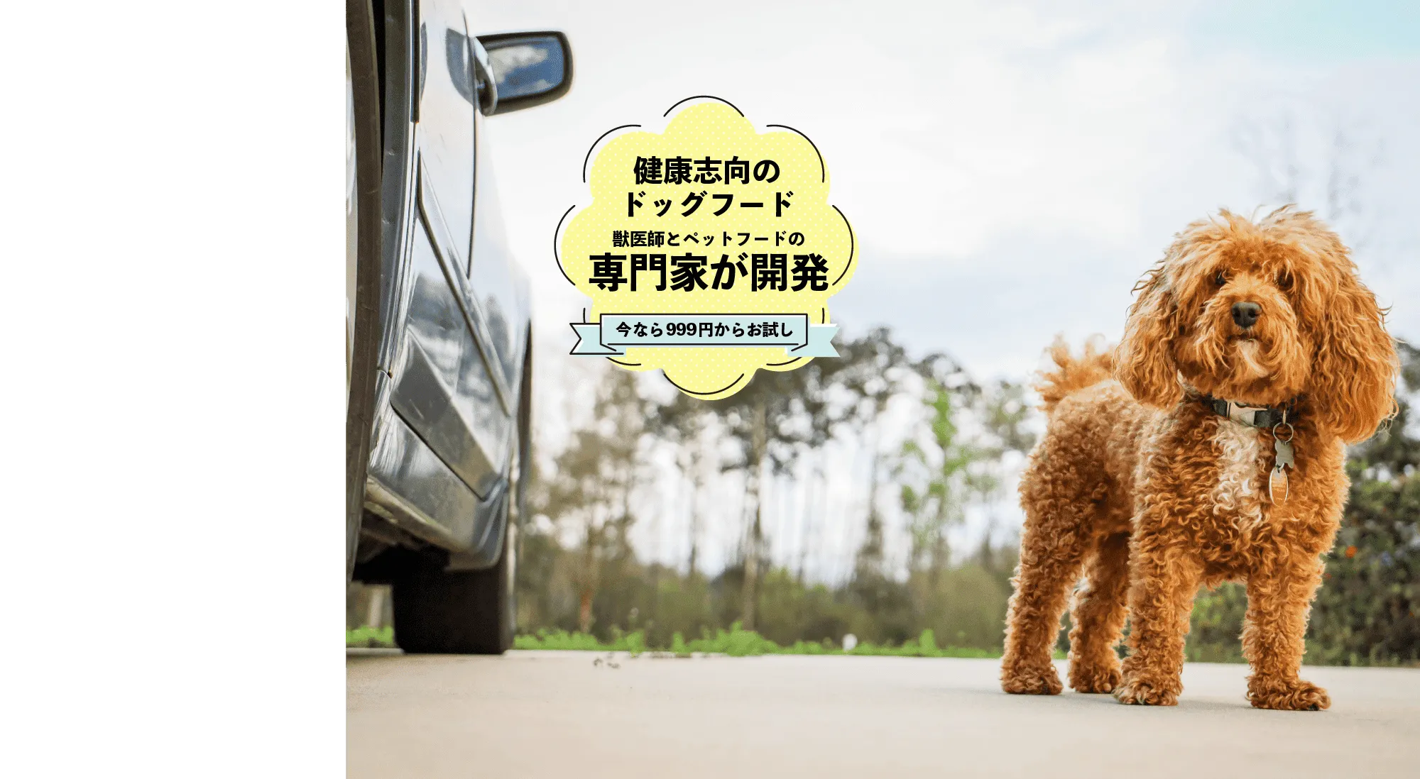 トップ画像